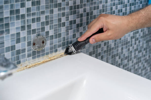 Best Office Mold Removal Services  in Elizabeth, PA