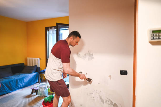 Best Mold Damage Repair  in Elizabeth, PA